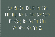 Rose Velt, a Serif Font by ilhamtaro (Thumbnail 6 of 9)