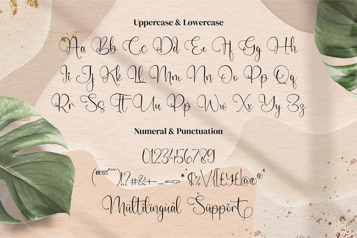 Janoela Seolen, a Script Font by Integritype Studio (Photo 9 of 12)