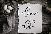 Animal Script, a Script Font by Moly Mol (Thumbnail 8 of 11)