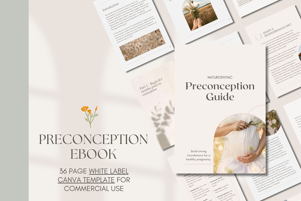 Preconception Fertility Ebook Canva, a Presentation Template by Naturopath Hub (Photo 1 of 9)