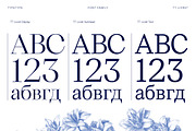 TT Livret, a Serif Font by TypeType (Thumbnail 4 of 15)