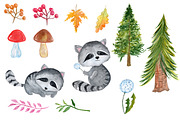 Watercolour forest animals clipart, an Animal Illustration by vivastarkids (Thumbnail 3 of 3)