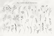 Line Art Wild Flowers Illustrations, a Decorative Illustration by La Petite Line Art (Thumbnail 3 of 12)