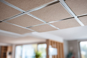 Modern textured ceiling design with metallic grid, an Industrial Photo by AlyaAnd