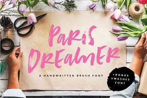 Paris Dreamer Script Bonus Font