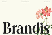 CS Brandis – Modern Serif Font, a Serif Font by Craft Supply Co. (Thumbnail 1 of 8)