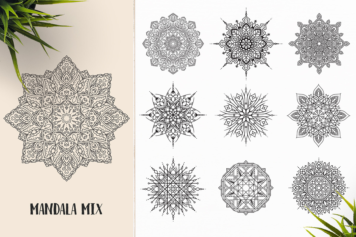530 Vector Mandala Ornaments, an Animal Illustration by pixaroma (Photo 42 of 55)