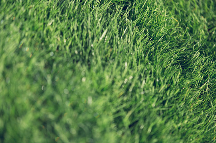 soccer ground preview 6