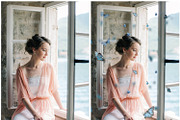 Butterfly PNG photoshop overlays, a Plug-in Add-On by ZephyrDigital (Thumbnail 4 of 6)