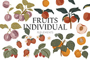 Seasonal Botany BUNDLE, an Object Graphic by Ruslana Lubenets (Thumbnail 51 of 100)