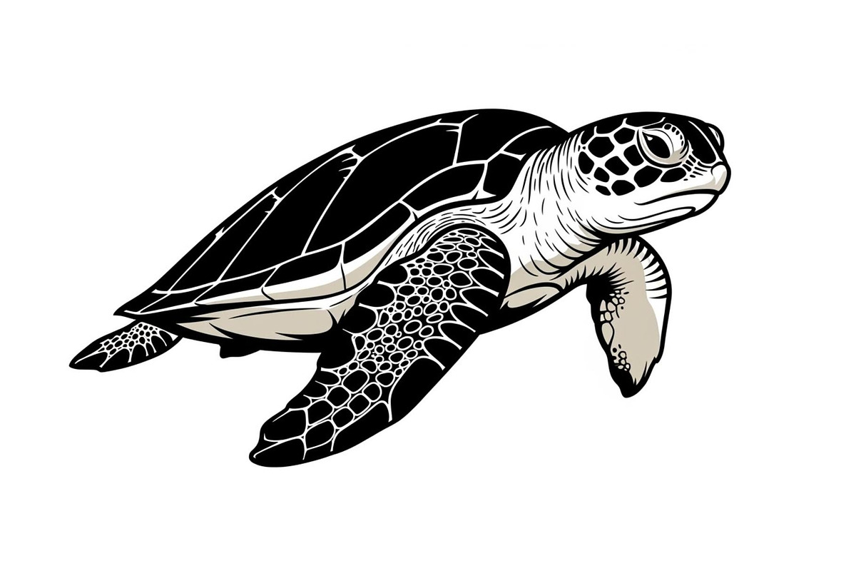 50 Sea Turtle Vector Silhouette Bund, an Illustration by jahid234 (Photo 43 of 51)