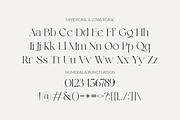 Relight - Modren Serif, a Serif Font by dealitastudio (Thumbnail 11 of 11)