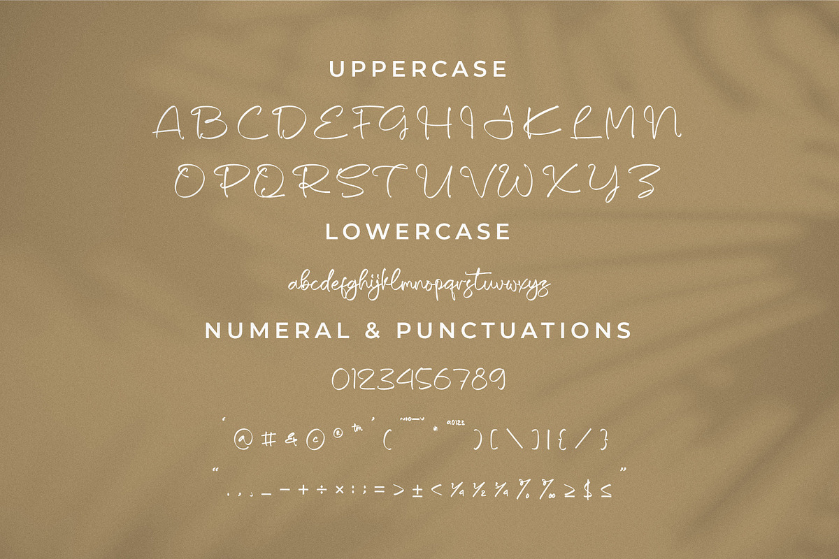 Shaquetta Torelly, a Handwritten Font by Integritype Studio (Photo 9 of 15)