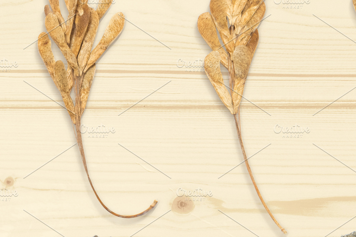Autumn Floral Mockup Objects, an Object Graphic by uncle-rico (Photo 7 of 13)
