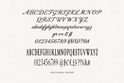 Agrifox Mestalube Font Duo, a Script Font by Maulana Creative (Thumbnail 7 of 7)