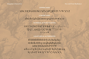 SS Maguine - Neo Transitional Serif, a Serif Font by Typocracy Studio (Thumbnail 10 of 10)