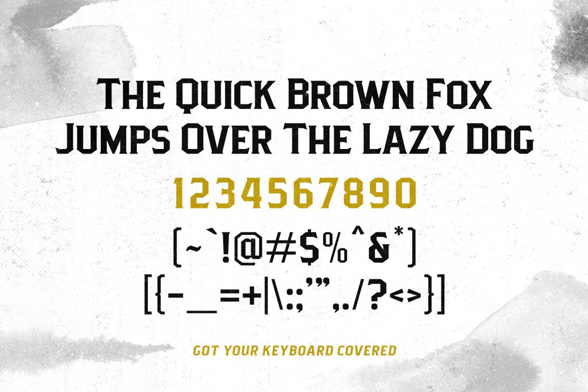 Pittsbrook Serif preview 3