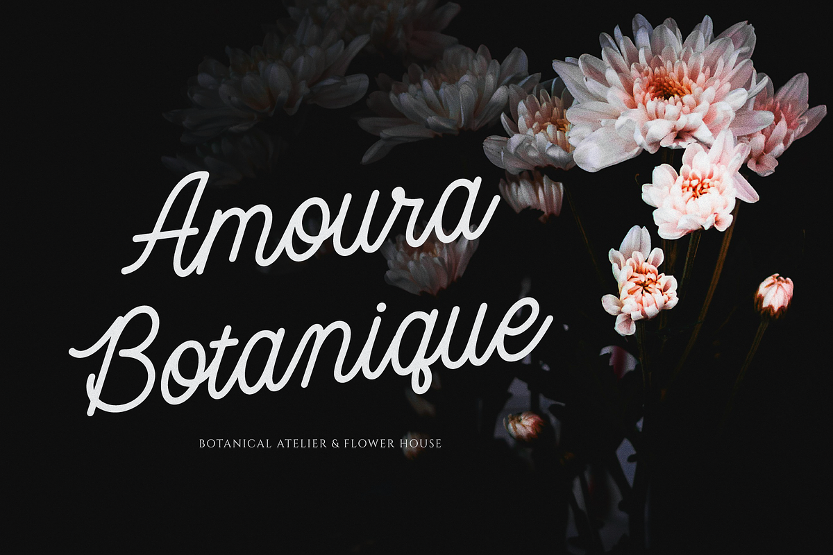 Jenaka | Monoline Script, a Script Font by gracetype_studio (Photo 3 of 12)