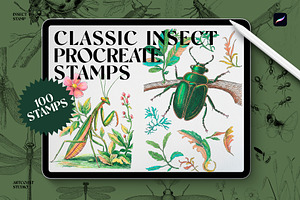 Classic Insect Procreate Stamps