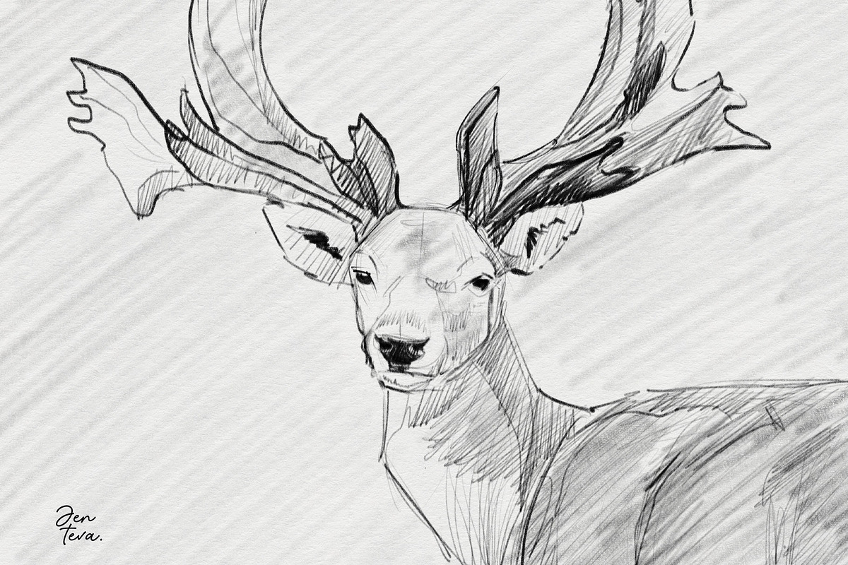 Graphite Pencils for Procreate, a Brush Add-On by Jenteva Art (Photo 7 of 11)