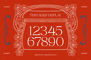 Megria Elegant Thin Serif Display, a Serif Font by timelesstype.co (Thumbnail 14 of 20)