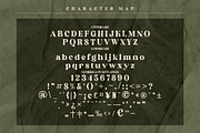 Elinga Classy Serif Font, a Script Font by Storytype Studio (Thumbnail 6 of 8)