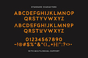 Planet Gamers - Ligature Logo Serif, a Serif Font by Sarid Ezra (Thumbnail 7 of 7)