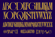 GW Garve, a Sans Serif Font by Goodwheel Studio (Thumbnail 3 of 13)