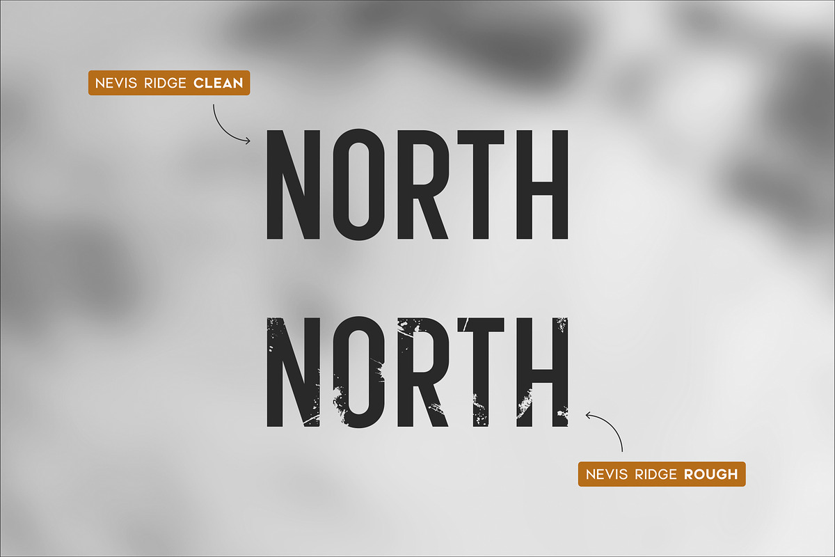 Nevis Ridge - Condensed Display Font, a Sans Serif Font by Thistle Type (Photo 2 of 9)