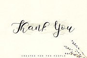 Zemarah script - 3 styles + Extras, a Script Font by VP Fonts (Thumbnail 14 of 14)