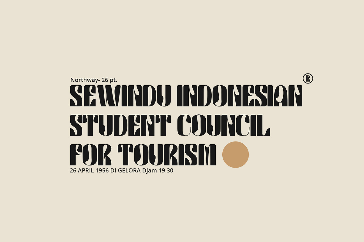 Northway, a Sans Serif Font by Damelev (Photo 6 of 14)