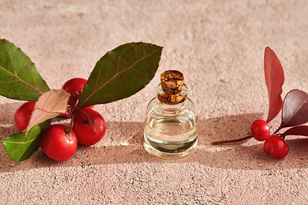 A bottle of wintergreen essential oil with wintergreen twigs, a Food & Drink Photo by Madeleine Steinbach