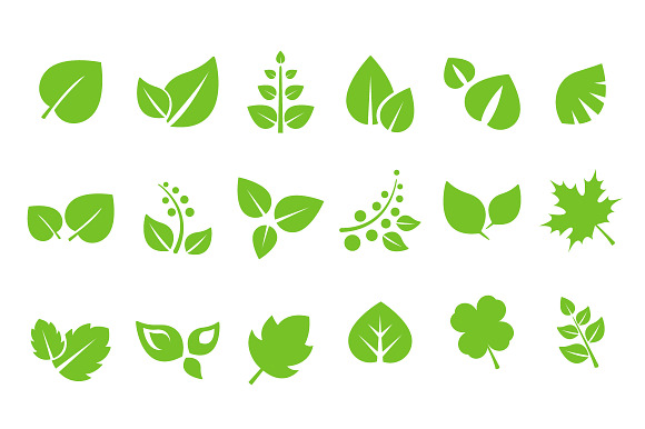 Green Leaves Design Elements