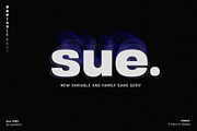 Sue - Variable & Family Sans Serif, a Sans Serif Font by Typeskets (Thumbnail 1 of 13)