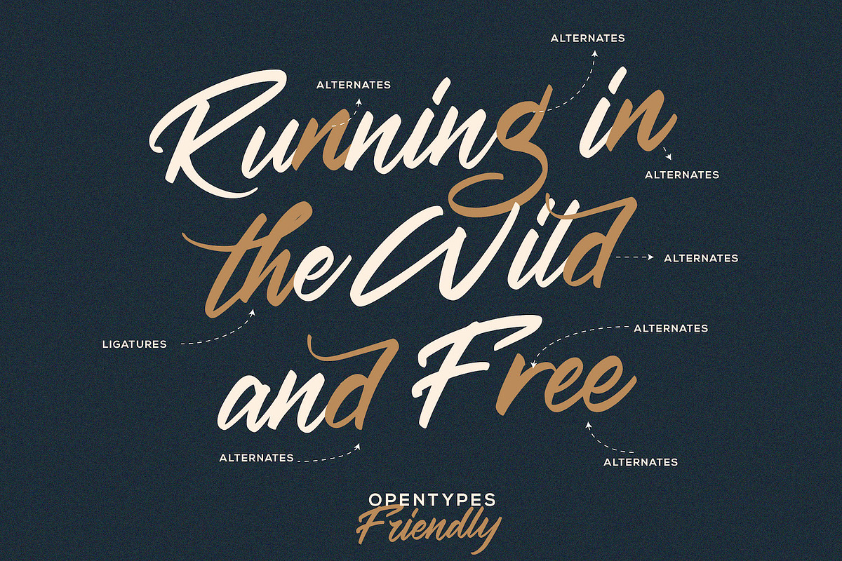Haredang - Bold Script Font preview 3