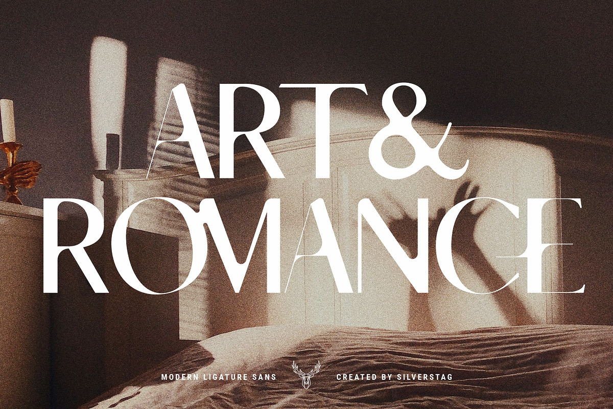skylar - modern ligature sans font, a Sans Serif Font by SilverStag Type Foundry (Photo 12 of 18)