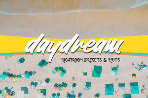 Daydream Lightroom Presets and LUTS, an Action Add-On by SparkleStock