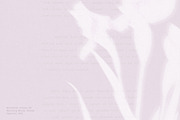 Botanical Traces: Blurred Floral PNG, an Object Graphic by Dina Mae (Thumbnail 7 of 14)