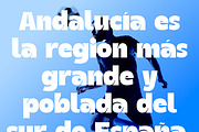 Roya - Bold Font, a Sans Serif Font by Morisco (Thumbnail 4 of 8)