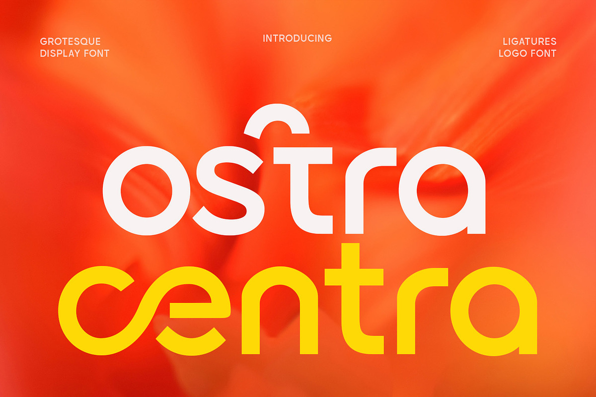 Ostra Centra - Geometric Sans, a Sans Serif Font by Viswell (Photo 1 of 9)