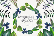 Botanical watercolor leaves set, a Decorative Illustration by Art AleshkaK (Thumbnail 1 of 10)