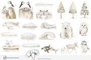 100 polar animal clip art, an Animal Illustration by Poppy Lane Studio (Thumbnail 9 of 12)