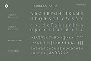 Brikelia Minimalist Fashionable Font, a Serif Font by roomspace creative lab (Thumbnail 11 of 12)