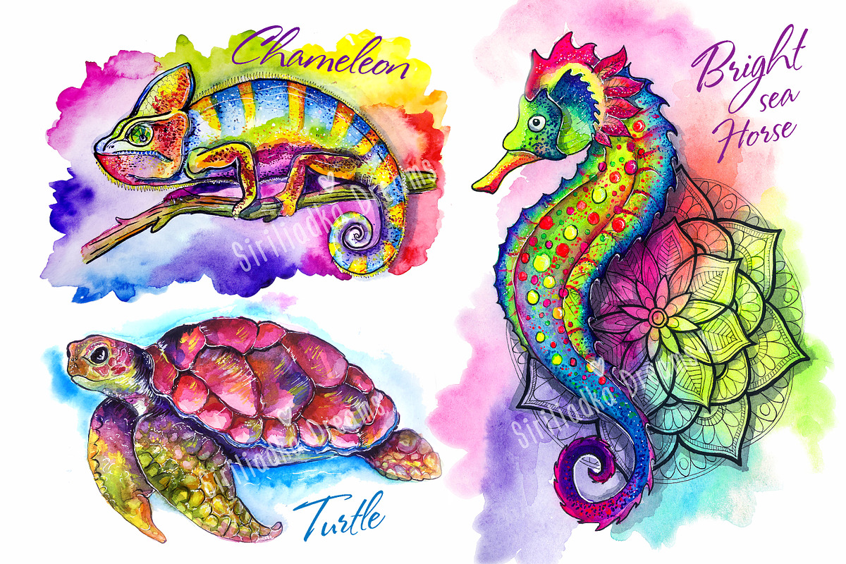 Set of bright watercolor animals, an Animal Illustration by Siriliadka Dreams (Photo 3 of 11)