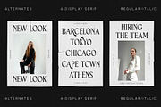 Horge A Display Serif Font, a Serif Font by Storytype Studio (Thumbnail 6 of 16)