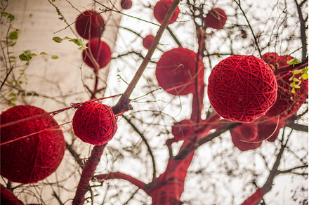 Tree decorated with red balls, the, a Holiday Photo by Elizaveta Galitskaya