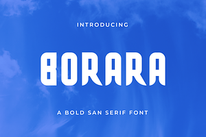 Borara San Serif Font