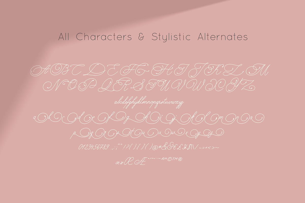 Lovely Monoline Script Font, a Script Font by Anna Zakharchenko (Photo 9 of 10)