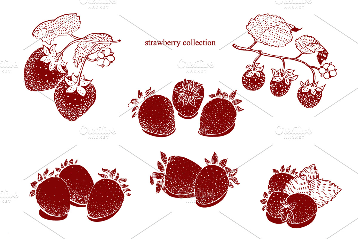 Strawberry Vector Collection, a Food Illustration by Lubov Illustrations Shop (Photo 2 of 7)