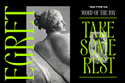 TAN - EGRET, a Serif Font by TanType (Thumbnail 17 of 19)